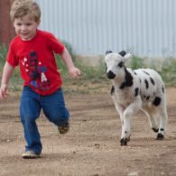 fun at the farm