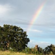 rainbow