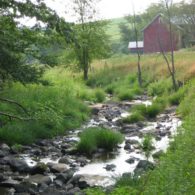 creek