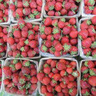 berries