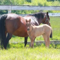 mother and baby