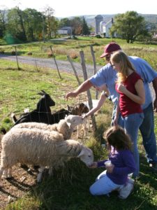 Hull-O Farms, Durham, New York | Farm Stay USA