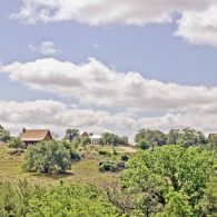 The ranch