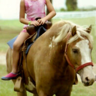 Pony Rides