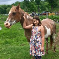 Groom the horses