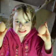 collecting eggs