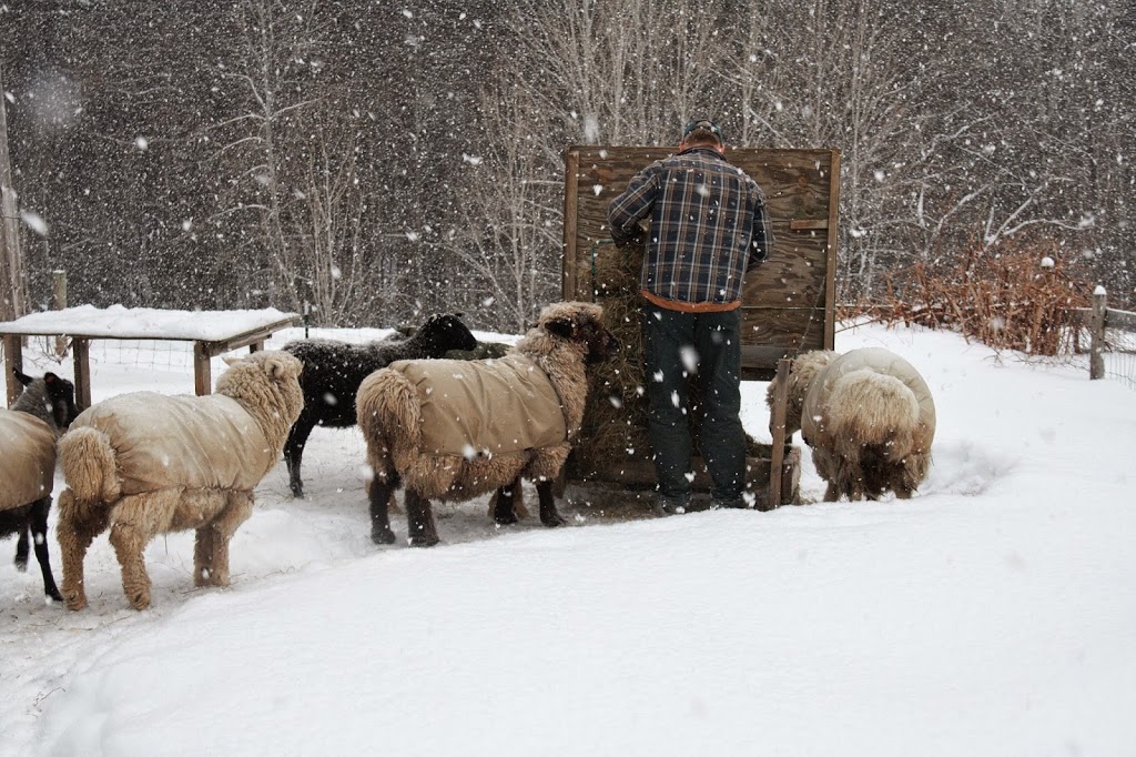 Grand View Farm, Vermont | Farm Stay USA