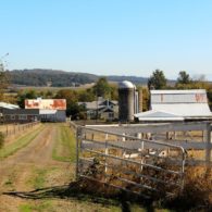 to the barn