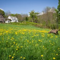 VT Grand View Farm