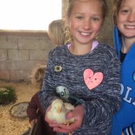 Everyone loves the chicks.