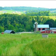 Welcome to Owens Farm!
