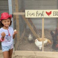 collect some fresh eggs!