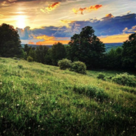 Pastures at sunset