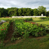gardens