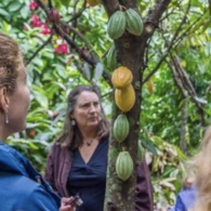 free tour with a stay of the plantation